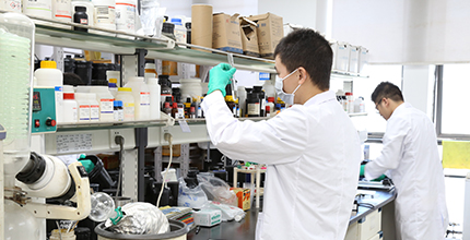 必发·bifa(中国集团)唯一官方网站