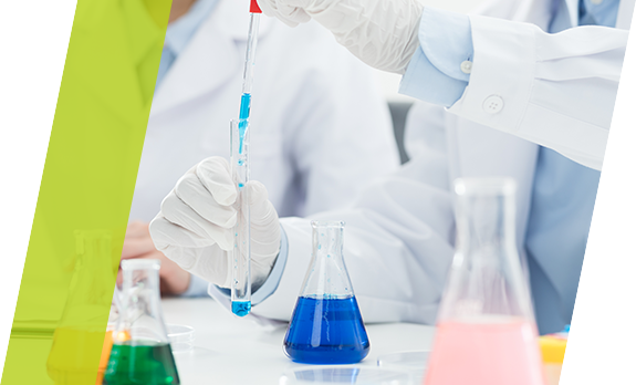 必发·bifa(中国集团)唯一官方网站