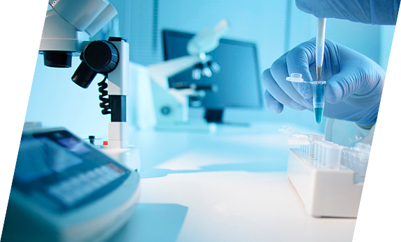 必发·bifa(中国集团)唯一官方网站