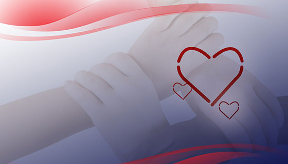 必发·bifa(中国集团)唯一官方网站